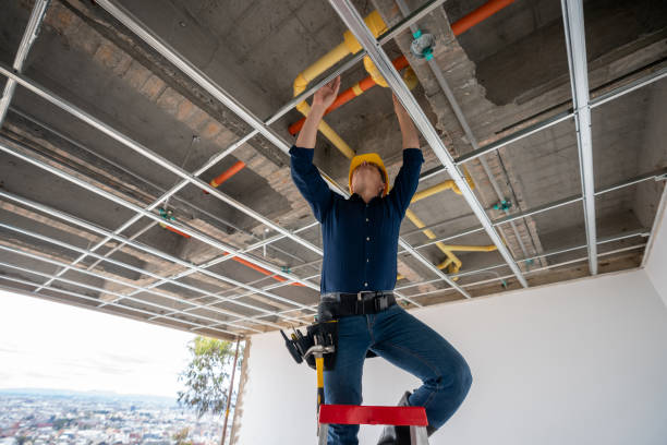 Best Plumbing Services Near Me  in Oakville, MO