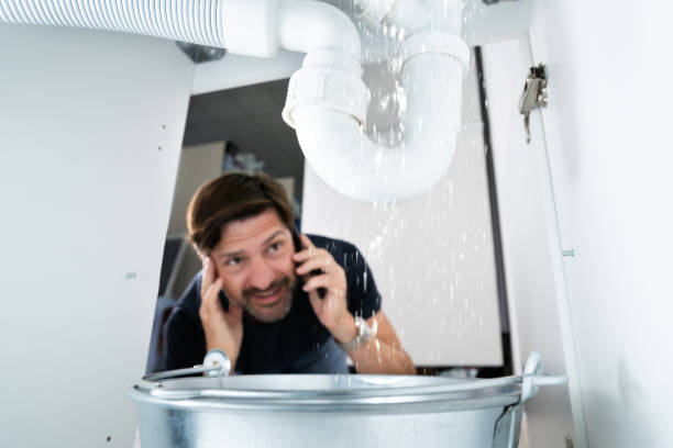 Best Water Heater Repair  in Oakville, MO