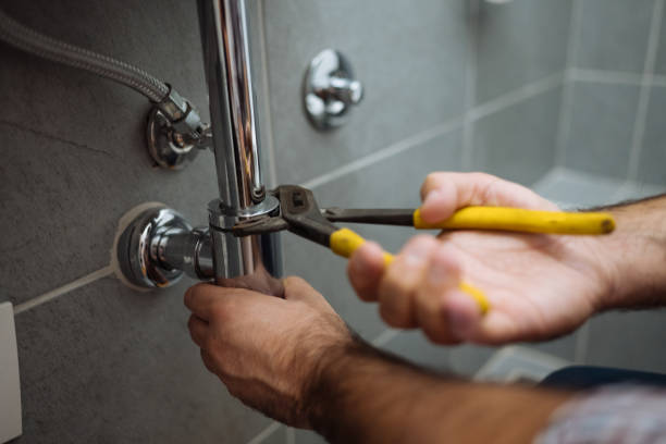 Best Plumbing Repair Near Me  in Oakville, MO
